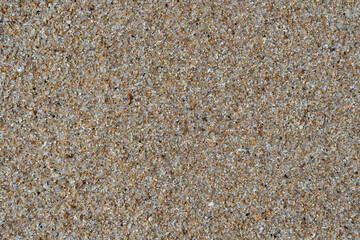 Sandy beach background. Detailed sand texture. Top view