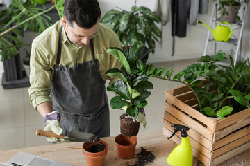 Young man taking care of plants at home