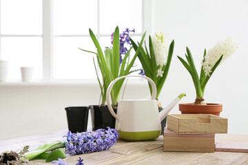 Blooming plants and gardening tools on table