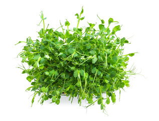 Fresh peas micro green on white background