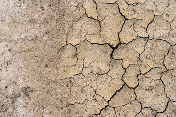 Brown dry soil or desert cracked ground texture background,land arid earth warming.