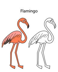 Funny cute bird flamingo isolated on white background. Linear, contour, black and white and colored version. Illustration can be used for coloring book and pictures for children