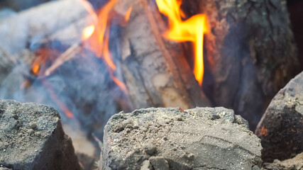 Bonfire close-up, burning firewood. Orange flame and smoke. Fire safety concept.