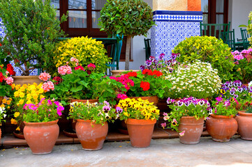 Fototapeta na wymiar Multicolored and varied flowers in pots on a city street