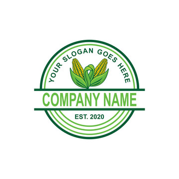 corn vector , agriculture logo vector