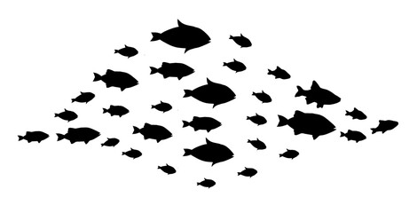 Silhouettes of groups of  fishes on white