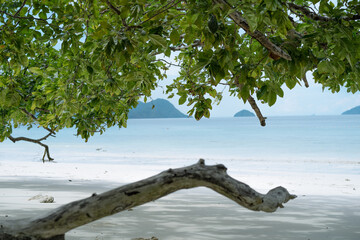 View from the beach.