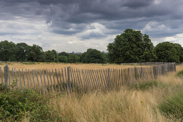 View in the Richmod park of London.