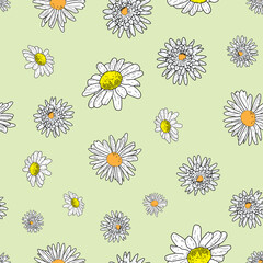 Vector pastel green background daisy flowers and wild flowers. Seamless pattern background