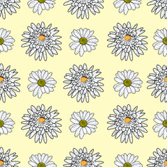 Vector yellow background daisy flowers and wild flowers. Seamless pattern background