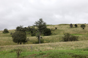 Obraz premium Views of the country town of Killarney in Queensland Australia. With rolling hills and green paddocks