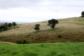 Obraz premium Views of the country town of Killarney in Queensland Australia. With rolling hills and green paddocks