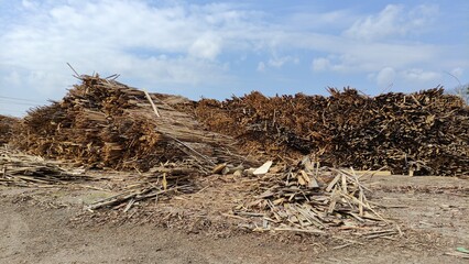 Wood and wood chips - fuel for bio power plants.