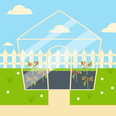garden plot with greenhouse organic farming