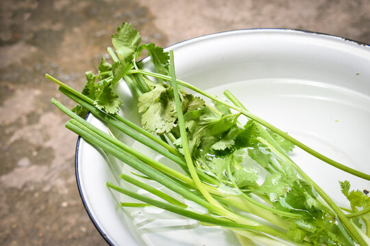 Fresh green coriander for good health