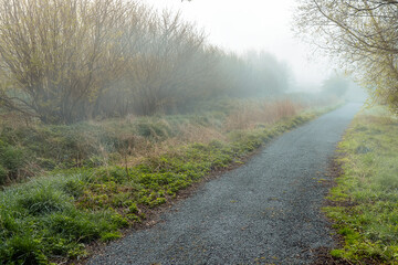 Walking path in a mist. Nobody. Cool and calm atmosphere. Nature scene at sun rise in a fog. Selective focus
