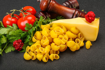 Italian pasta - raw pipe rigate