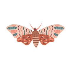 Whimsical moon moth vector illustration isolated on white. Magical luna butterfly decorative graphic clip art. Spiritual Boho folk art vibes print design