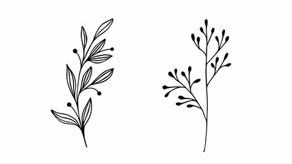 Set of animated hand drawn floral elements. Minimalistic flower graphic sketch drawing. 4k, alpha channel, no background.	 - Powered by Adobe