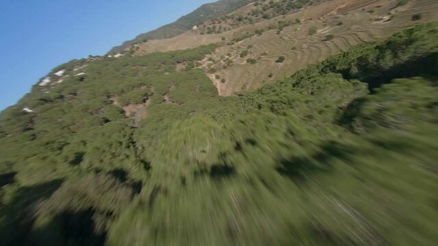 Fast speeding drone flying low above Mediterranean woodland valley trees Alella, Catalonia, Spain