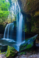 Fototapeta premium 鍋ヶ滝_幅が広く水のカーテンのような滝、滝の裏に空間ができており滝を裏から見ることができる