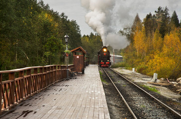 Ruskeala Express at railway station Mountain Park Ruskeala. Republic of Karelia. Russia
