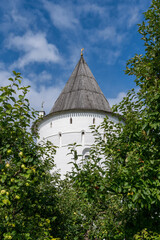 View of a tower of Rostov Kremlin through the apple garden on sunny summer day. Yaroslavl Oblast, Russia..