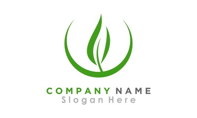 brand logo nature leaf