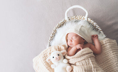 Sleeping newborn baby in basket wrapped in blanket in white fur background. Portrait of little child one week old with soft toys. - obrazy, fototapety, plakaty