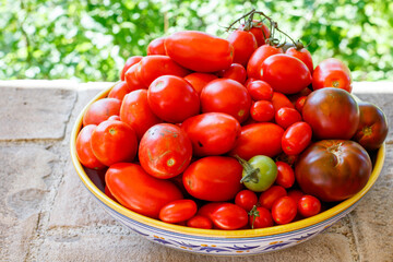 large bowl with freshly harvested organic tomatoes