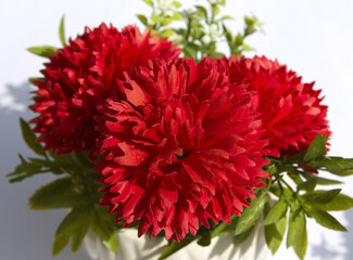 red carnation flower made from soap on white background. red cloves flowers .