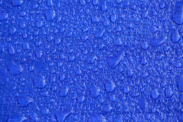 Water droplet on a blue background