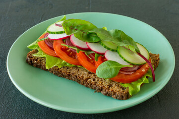 Homemade vegan and vegetarian sandwiches with tomato, lattuce radish, cucumber and spring onions. Healthy breakfast