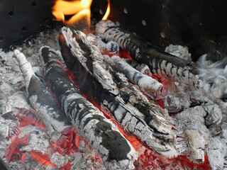 Almost extinguished fire left over from cooking on the fire. Summer day. Embers are visible