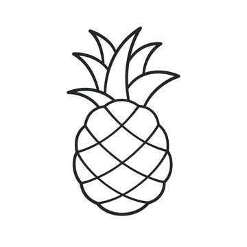 Pineapple cartoon outline clip art. Simple flat vector illustration design. Easy coloring book page activity element for children kids. Sign symbol for agriculture tropical fresh fruit etc.