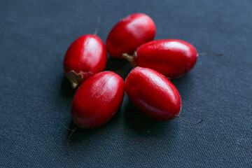 Synsepalum dulcificum is a plant known for its berry that, when eaten, causes sour foods subsequently consumed to taste sweet.
