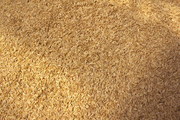 rice peel after harvest and hull background.