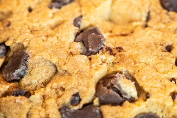 Shallow depth of field chocolate cookie.