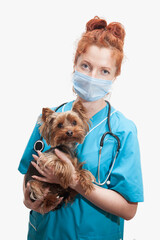 Portrait of female veterinary doctor in medical uniform with dog in hands on isolated white background