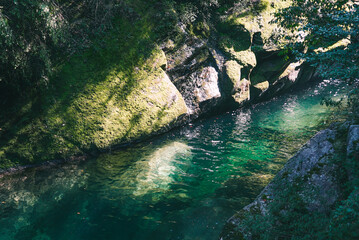 Beautiful green river
