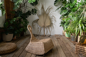 Cozy indoor garden with wicker furniture, houseplants in basket flowerpots, old wooden floor. Boho...