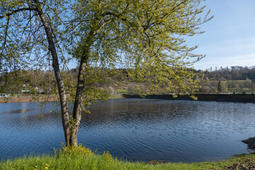 Obraz premium Rurberg am Rursee in der Eifel
