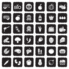 Organic Food Icons. Grunge Black Flat Design. Vector Illustration.