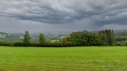 Fresh grass on a meadow, next to a forest, in the Belgian Ardennes