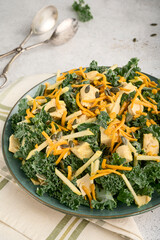 Raw Healthy Kale Winter Salad with Oranges and Pumpkin Seeds Chicken and Cheese