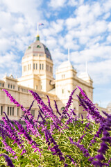 Royal Exhibition Building and, lavender in Melbourne, Australia