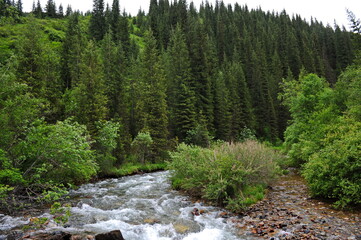 The Turgen River, which flows along the territory in a mountainous area near Almaty