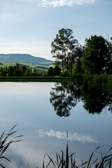 reflection of trees in the water