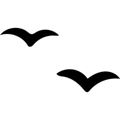 two birds illustration