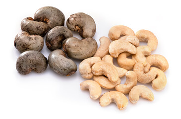 Fototapeta na wymiar Fresh cashews in Cashew nut shell on a white background, Fresh cashew nut on White Background.